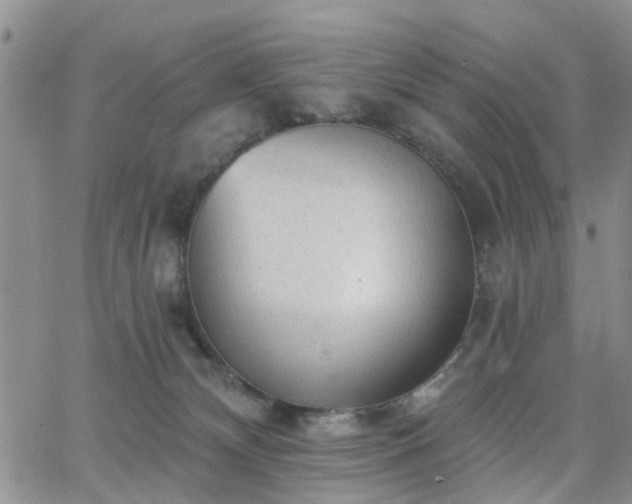 X0000063480132200601231356