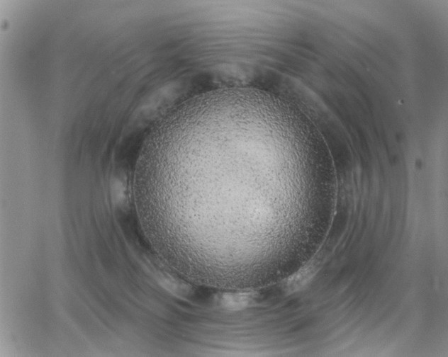 X0000063480134200601231356