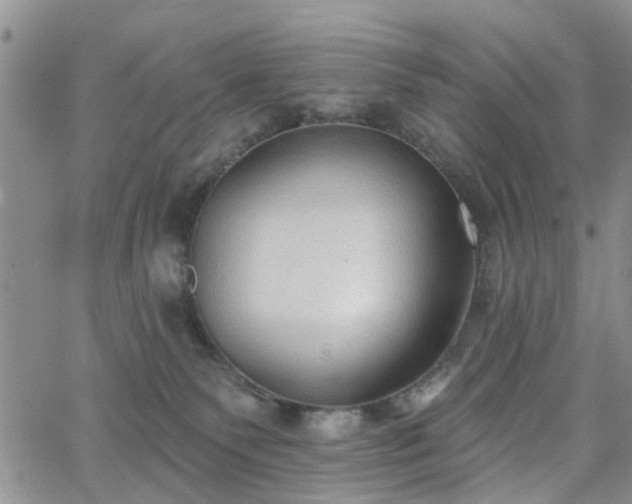 X0000063480135200601231356