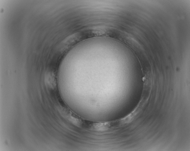 X0000063480136200601231356