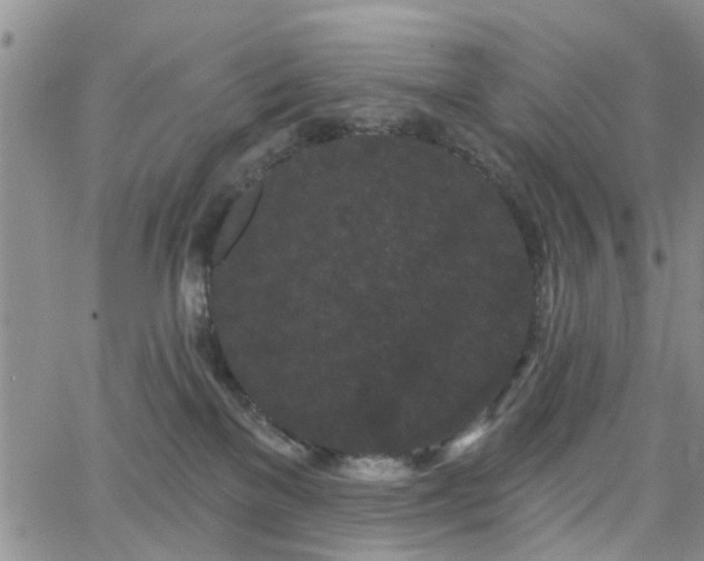 X0000063480137200601231356