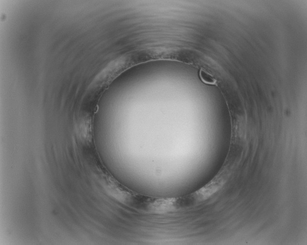 X0000063480138200601231356