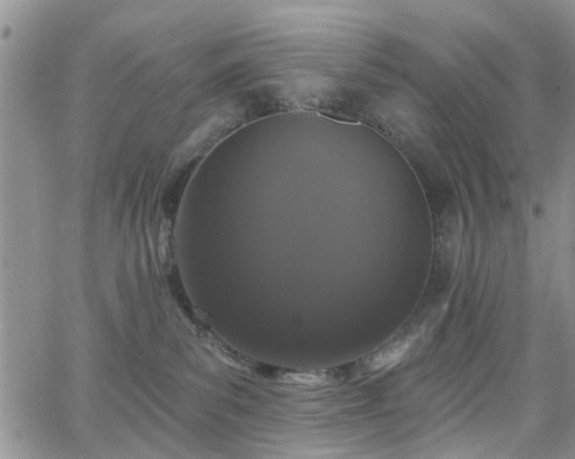 X0000063480139200601231356