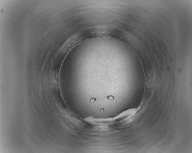 X0000063480140200601231356