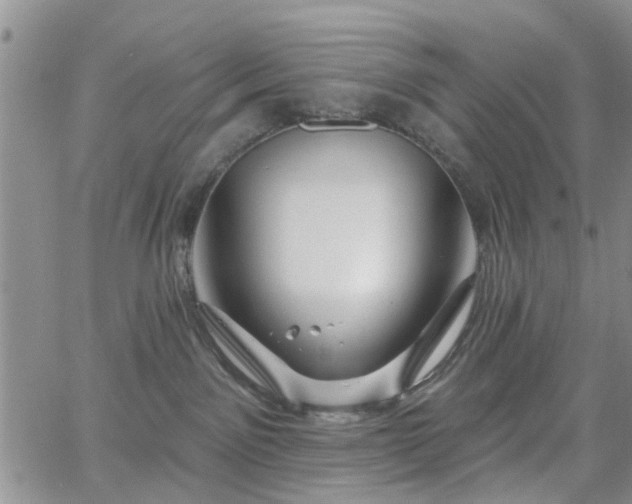 X0000063480141200601231356