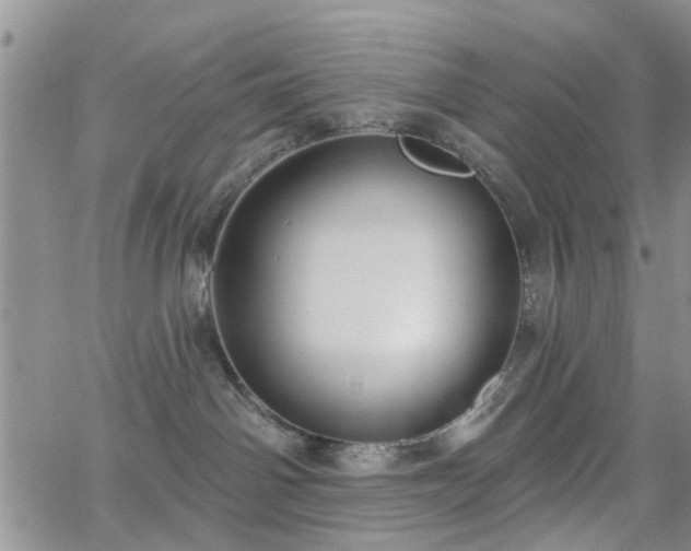 X0000063480142200601231356