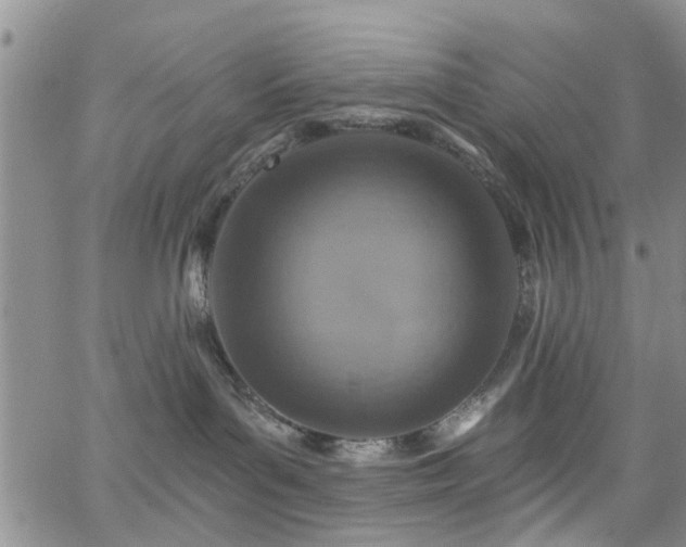 X0000063480143200601231356