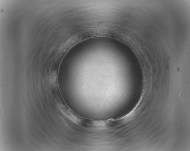 X0000063480144200601231356