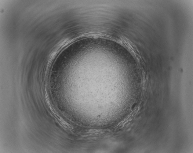 X0000063480145200601231355