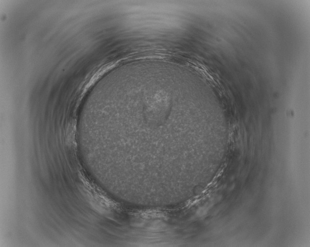 X0000063480146200601231355