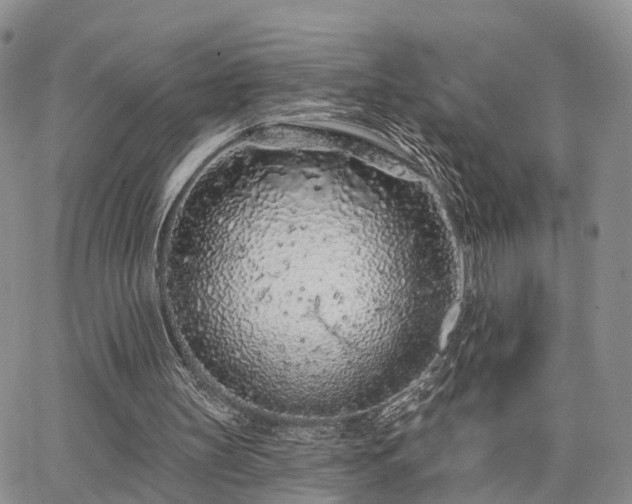 X0000063480147200601231355