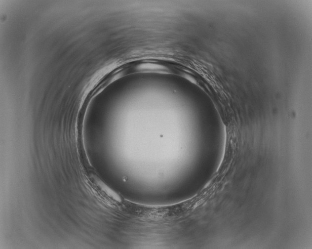 X0000063480148200601231355