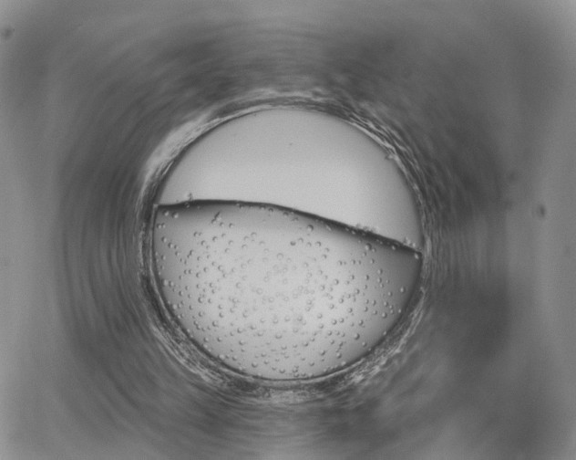 X0000063480149200601231355