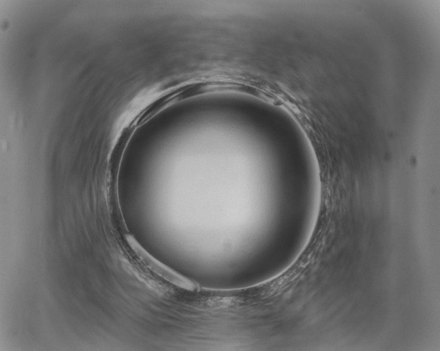 X0000063480152200601231355