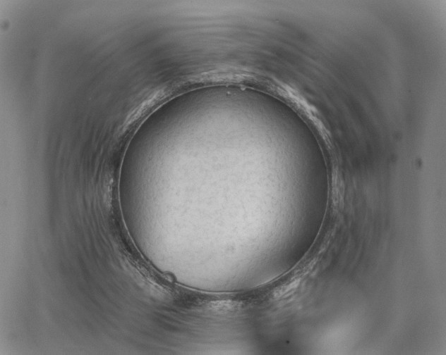 X0000063480153200601231355