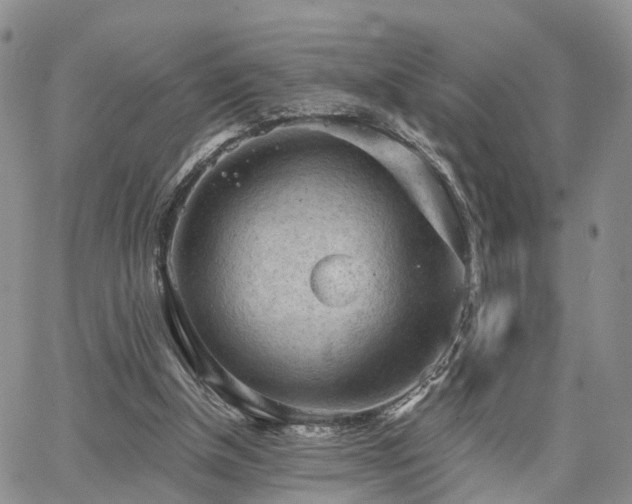 X0000063480154200601231355