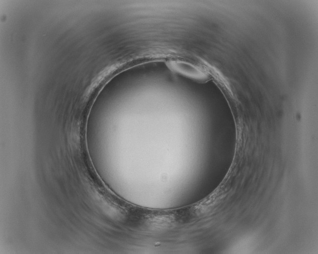 X0000063480155200601231355