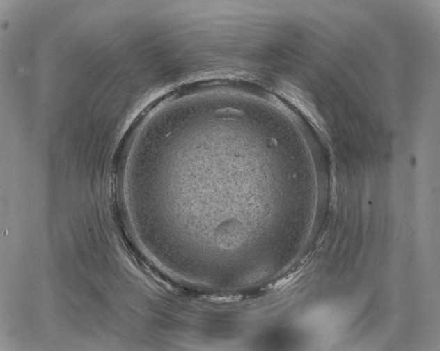 X0000063480156200601231355