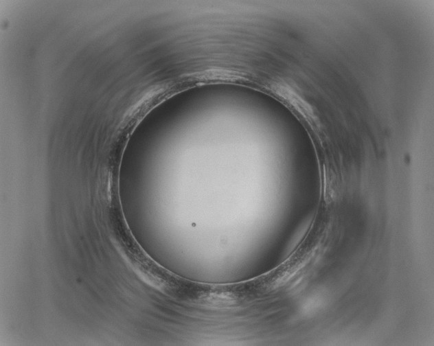 X0000063480157200601231355