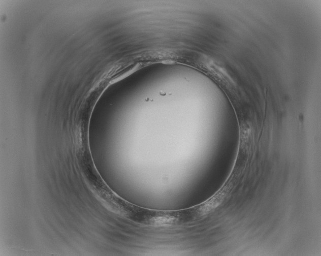 X0000063480158200601231356