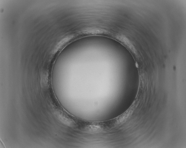 X0000063480159200601231356