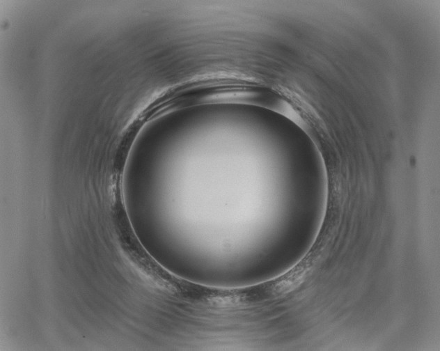 X0000063480160200601231356