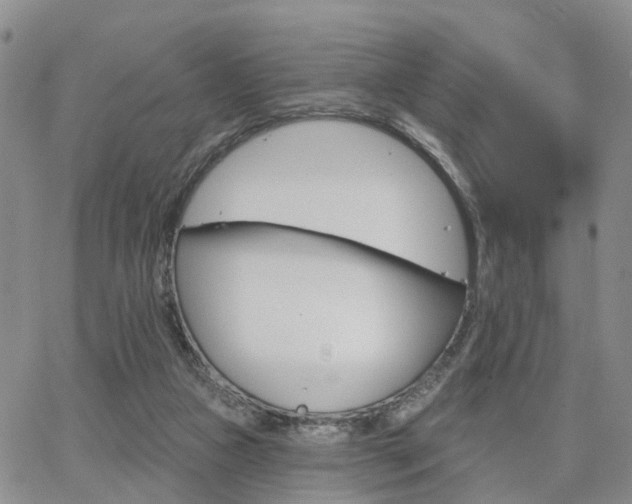 X0000063480161200601231356