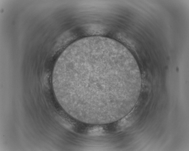 X0000063480162200601231356