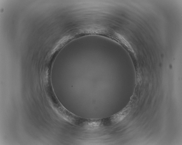 X0000063480163200601231356