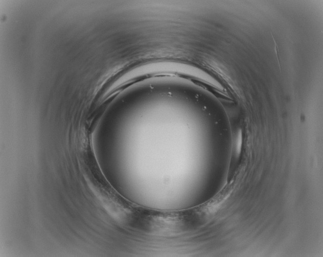 X0000063480164200601231356