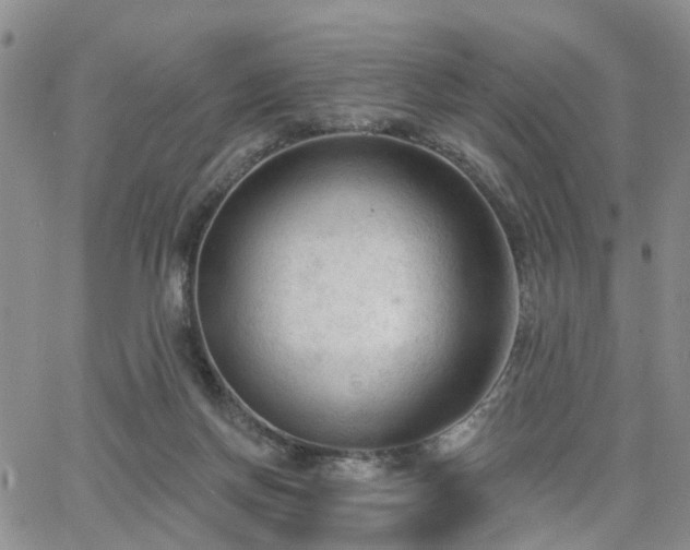 X0000063480166200601231356