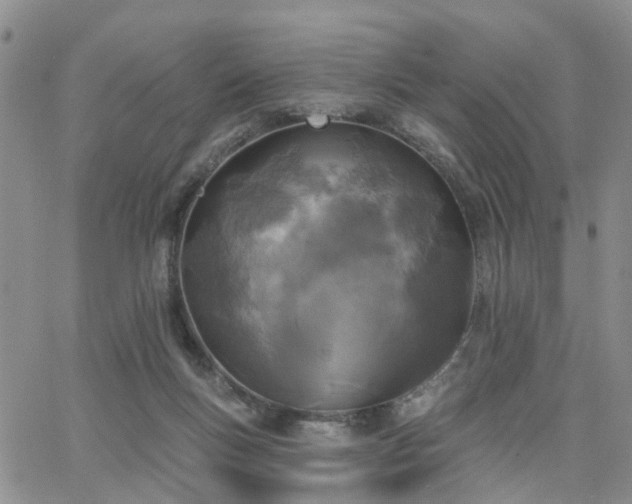 X0000063480167200601231356