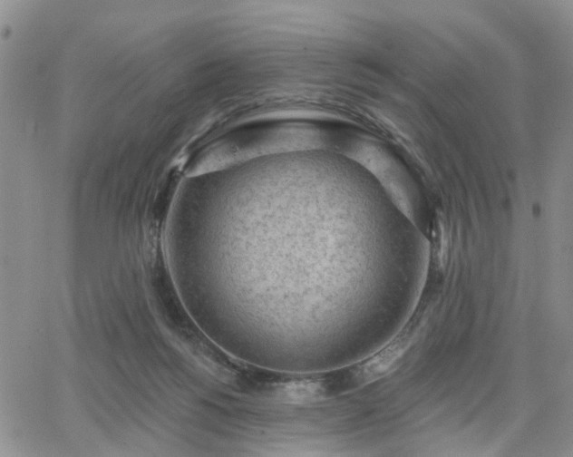 X0000063480168200601231356