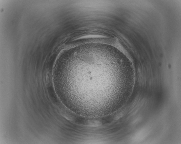 X0000063480169200601231356