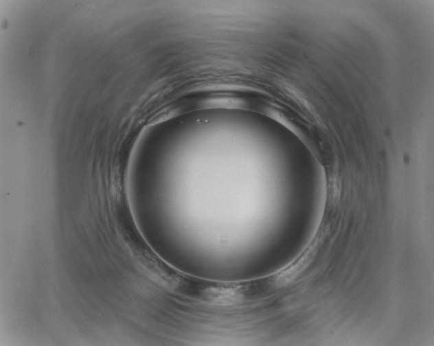 X0000063480170200601231356