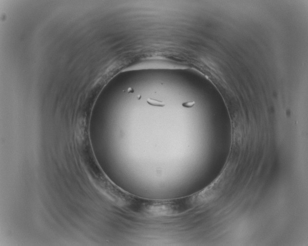 X0000063480171200601231356