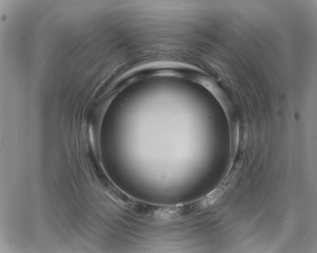 X0000063480172200601231356