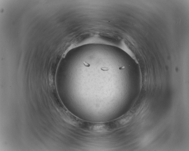 X0000063480173200601231356