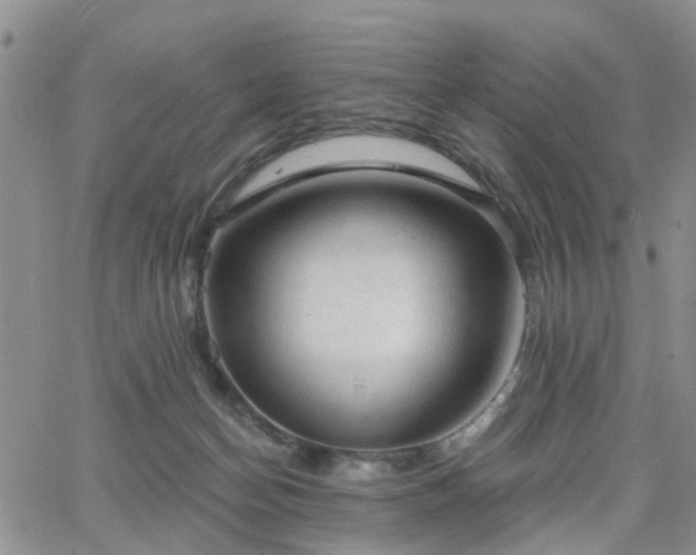 X0000063480174200601231356