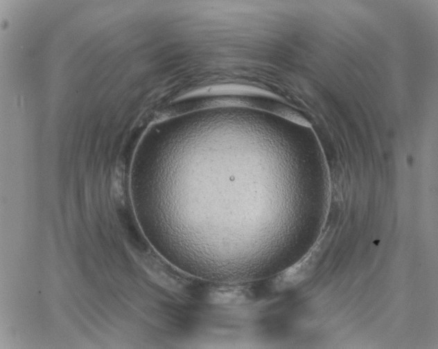 X0000063480175200601231356