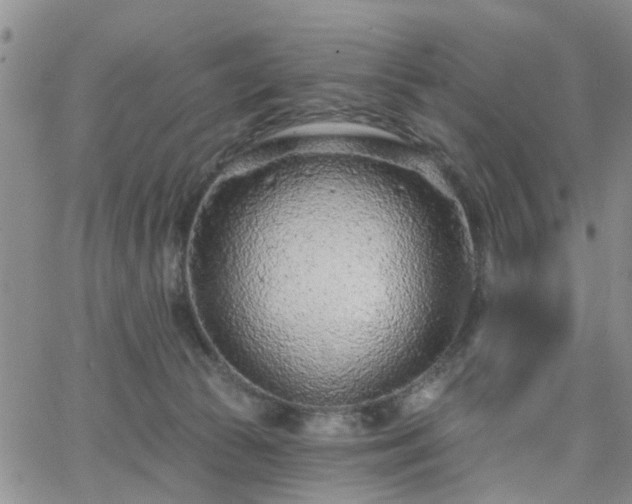 X0000063480177200601231356