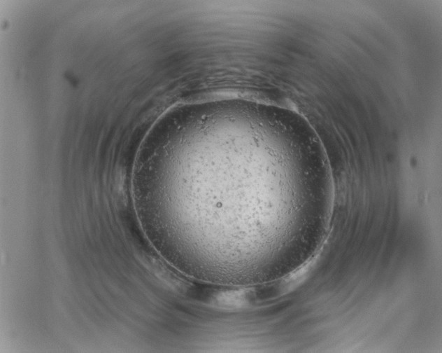 X0000063480178200601231356