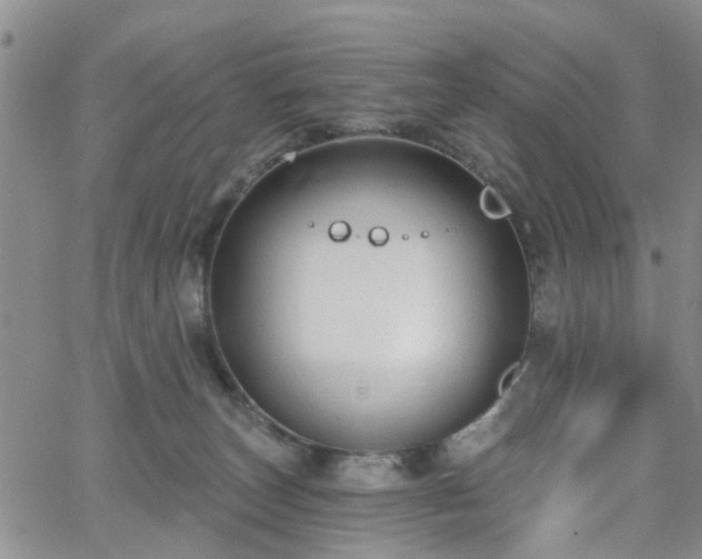 X0000063480179200601231356