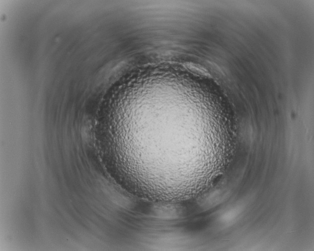 X0000063480181200601231356