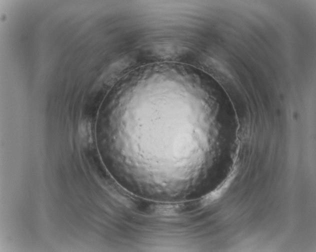 X0000063480182200601231356