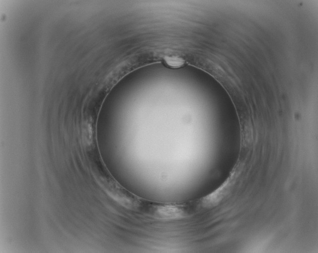 X0000063480183200601231356