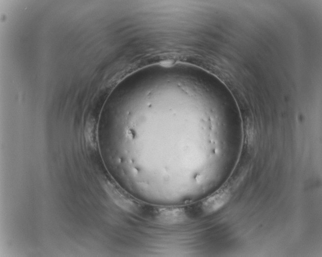 X0000063480185200601231356