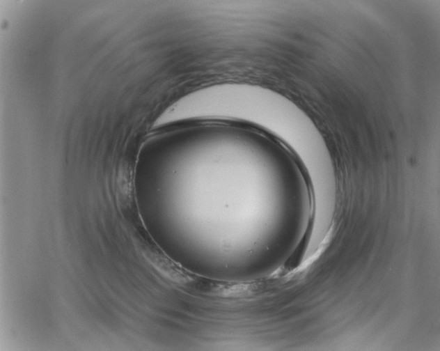 X0000063480186200601231356