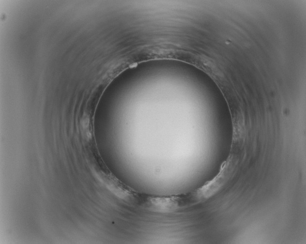 X0000063480187200601231356