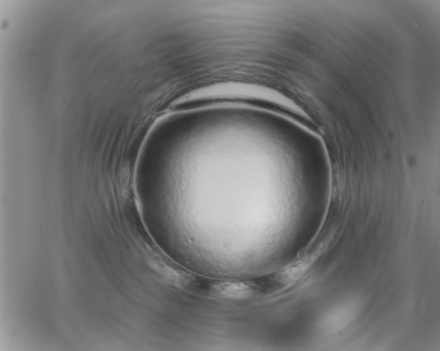 X0000063480189200601231356